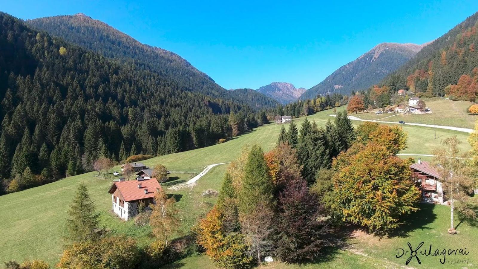 Chalet Al Maso Val Calamento Telve Экстерьер фото